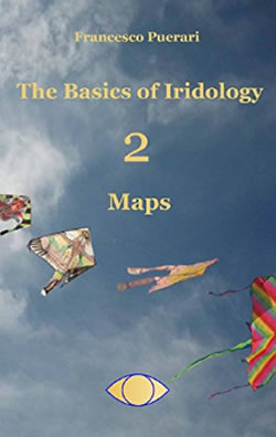 The-Basics-of-Iridology-Maps