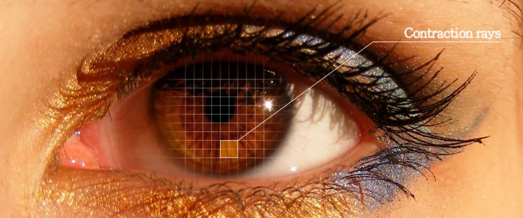 Iris Patterns - The Basics Of Iridology